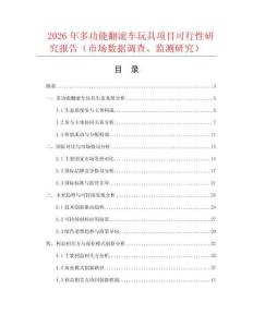 2026年多功能翻滾車玩具項目可行性研究報告（市場數據調查、監測研究）