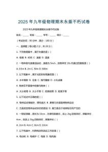 2025年九年級(jí)物理期末永垂不朽試卷