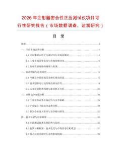 2026年注射器密合性正壓測試儀項(xiàng)目可行性研究報(bào)告（市場數(shù)據(jù)調(diào)查、監(jiān)測研究）