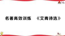 名著高效訓練《艾青詩選》
