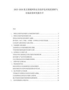 2025-2030重點領域網絡安全防護技術現狀調研與市場前景研究報告中
