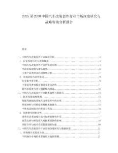 2025至2030中國汽車改裝套件行業市場深度研究與戰略咨詢分析報告