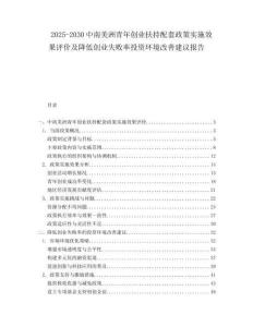 2025-2030中南美洲青年創業扶持配套政策實施效果評價及降低創業失敗率投資環境改善建議報告