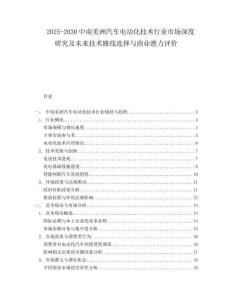 2025-2030中南美洲汽車電動化技術行業市場深度研究及未來技術路線選擇與商業潛力評價