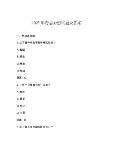 2025年奇思妙想試題及答案