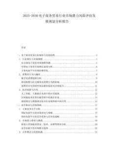 2025-2030電子商務貿易行業市場潛力風險評估發展規劃分析報告