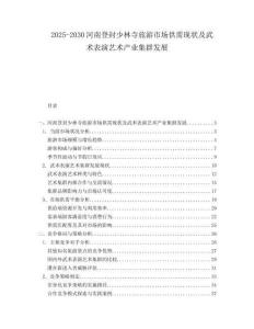 2025-2030河南登封少林寺旅游市場(chǎng)供需現(xiàn)狀及武術(shù)表演藝術(shù)產(chǎn)業(yè)集群發(fā)展
