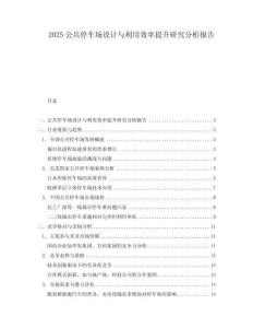 2025公共停車場設計與利用效率提升研究分析報告