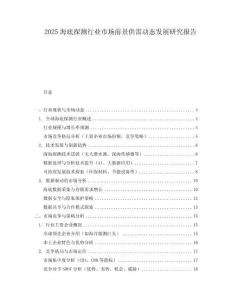 2025海底探測行業(yè)市場前景供需動態(tài)發(fā)展研究報告