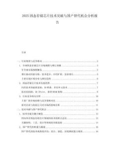 2025固態(tài)存儲芯片技術(shù)突破與國產(chǎn)替代機會分析報告