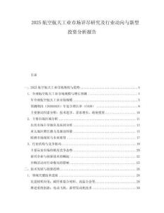 2025航空航天工業市場詳盡研究及行業動向與新型投資分析報告