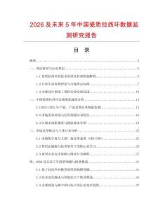 2026及未來5年中國瓷質(zhì)拉西環(huán)數(shù)據(jù)監(jiān)測研究報(bào)告