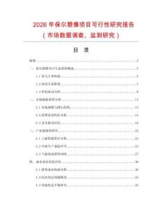 2026年保爾塑像項目可行性研究報告（市場數據調查、監(jiān)測研究）