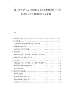 波士頓大學與人工智能醫療影像分析技術的行業供需現狀分析及教育科研投資策略