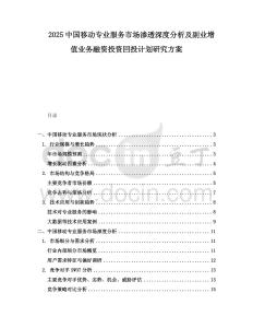 2025中國移動專業(yè)服務市場滲透深度分析及副業(yè)增值業(yè)務融資投資回投計劃研究方案