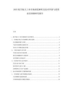 2025航空航天工業(yè)市場深度解析及技術革新與投資前景預測研究報告