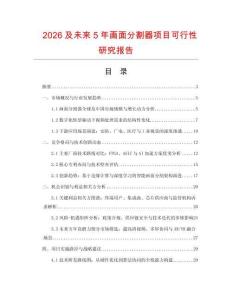2026及未來5年畫面分割器項目可行性研究報告