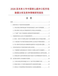 2026至未來5年中國背心袋沖口機市場數據分析及競爭策略研究報告