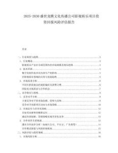 2025-2030盛世龍騰文化傳播公司影視娛樂項目投資回報風(fēng)險評估報告