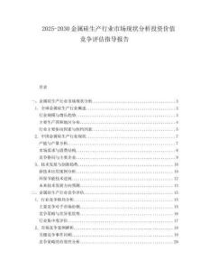 2025-2030金屬硅生產行業市場現狀分析投資價值競爭評估指導報告