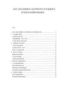 2025-2030拉脫維亞人造纖維紡織行業市場現狀分析發展評估前瞻性規劃報告