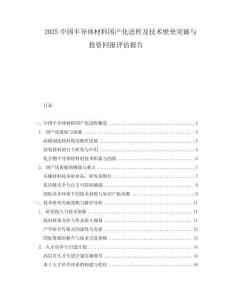 2025中國半導(dǎo)體材料國產(chǎn)化進(jìn)程及技術(shù)壁壘突破與投資回報(bào)評估報(bào)告