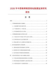 2026年中國(guó)錐柄錐面锪鉆數(shù)據(jù)監(jiān)測(cè)研究報(bào)告
