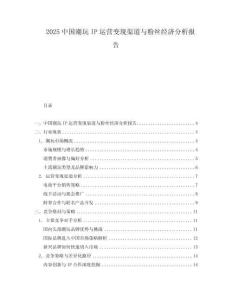 2025中國(guó)潮玩IP運(yùn)營(yíng)變現(xiàn)渠道與粉絲經(jīng)濟(jì)分析報(bào)告