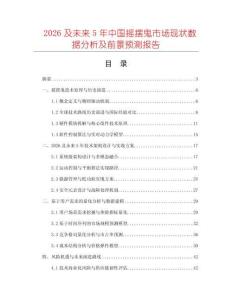 2026及未來5年中國搖擺鬼市場現(xiàn)狀數(shù)據(jù)分析及前景預(yù)測報(bào)告