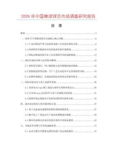 2026年中國棒球球芯市場調查研究報告