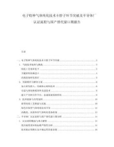 電子特種氣體純化技術卡脖子環節突破及半導體廠認證流程與國產替代窗口期報告