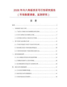 2026年內(nèi)六角板項目可行性研究報告（市場數(shù)據(jù)調(diào)查、監(jiān)測研究）