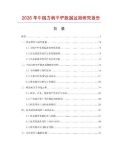 2026年中國方柄平鏟數(shù)據(jù)監(jiān)測研究報告