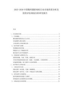 2025-2030中國(guó)數(shù)碼攝影相機(jī)行業(yè)市場(chǎng)供需分析及投資評(píng)估規(guī)劃分析研究報(bào)告