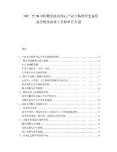 2025-2030中國數(shù)字經(jīng)濟(jì)核心產(chǎn)業(yè)市場(chǎng)供需宏觀形勢(shì)分析及政策工具箱研究專題