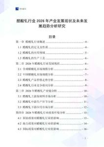 醋酸釓行業(yè)2026年產(chǎn)業(yè)發(fā)展現(xiàn)狀及未來發(fā)展趨勢分析研究