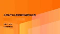 心理治療與心理咨詢技巧實踐與反思