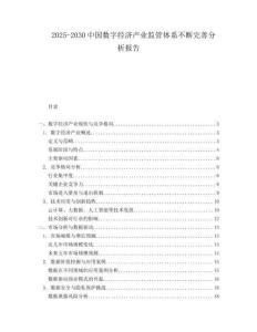 2025-2030中國數(shù)字經(jīng)濟(jì)產(chǎn)業(yè)監(jiān)管體系不斷完善分析報(bào)告