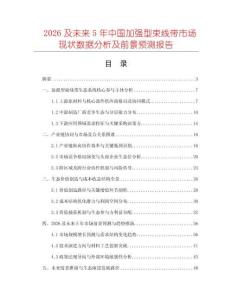 2026及未來5年中國加強(qiáng)型束線帶市場現(xiàn)狀數(shù)據(jù)分析及前景預(yù)測報(bào)告