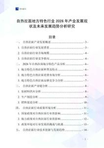自熱拉面地方特色行業(yè)2026年產(chǎn)業(yè)發(fā)展現(xiàn)狀及未來(lái)發(fā)展趨勢(shì)分析研究