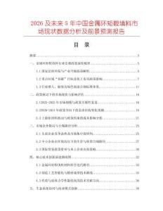 2026及未來5年中國金屬環矩鞍填料市場現狀數據分析及前景預測報告