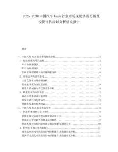 2025-2030中國汽車Wash行業(yè)市場現(xiàn)狀供需分析及投資評估規(guī)劃分析研究報告