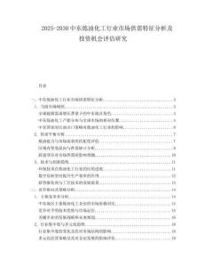 2025-2030中東煉油化工行業市場供需特征分析及投資機會評估研究