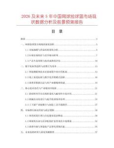 2026及未來5年中國網球撿球籃市場現狀數據分析及前景預測報告