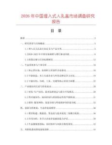 2026年中國埋入式人孔蓋市場調查研究報告