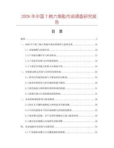 2026年中國(guó)T柄六角匙市場(chǎng)調(diào)查研究報(bào)告