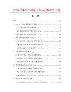 2026年中國干槽鋸片市場調(diào)查研究報(bào)告