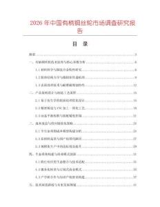 2026年中國有柄銅絲輪市場調(diào)查研究報告