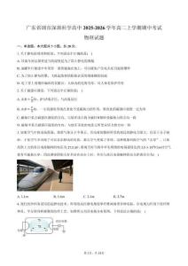 廣東省圳市深圳科學高中2025-2026學年高二上學期期中考試物理試卷（含答案）