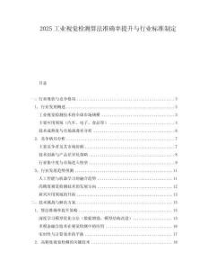 2025工業視覺檢測算法準確率提升與行業標準制定